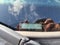 2017 Ford Explorer Base