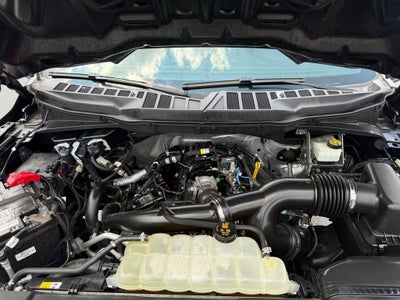 2021 Ford F-150 XL / One Owner