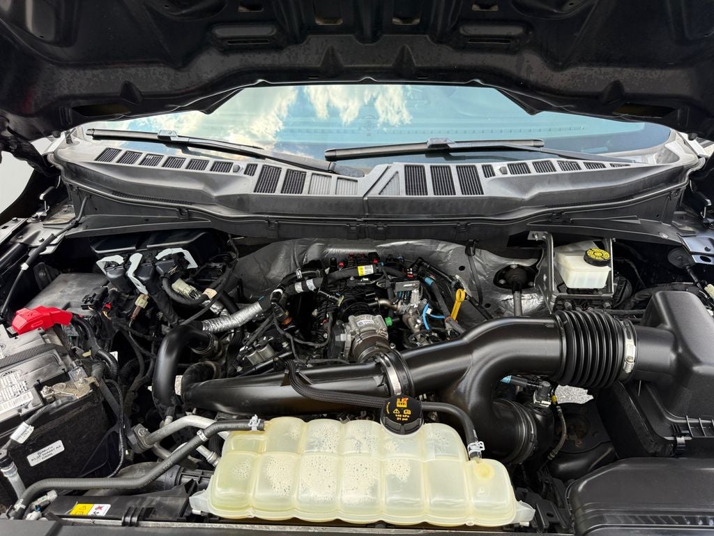 2021 Ford F-150 XL / One Owner