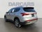 2023 Hyundai Santa Fe SEL / One Owner /