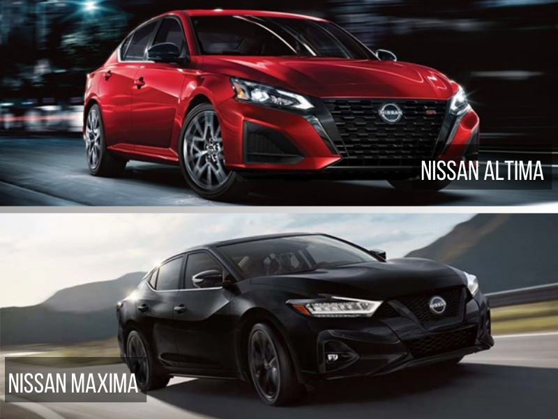Nissan Altima vs. Maxima